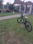 Bicicleta Adult