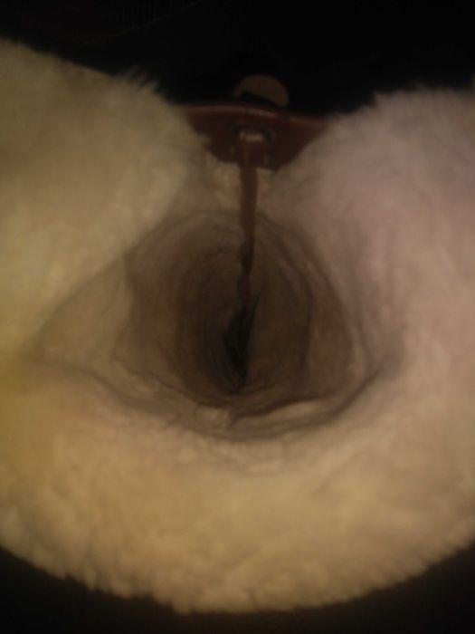 Продам ботфорты зимние