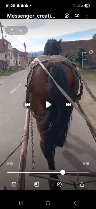 Vind minz de 1.7 luni învățat la căruță