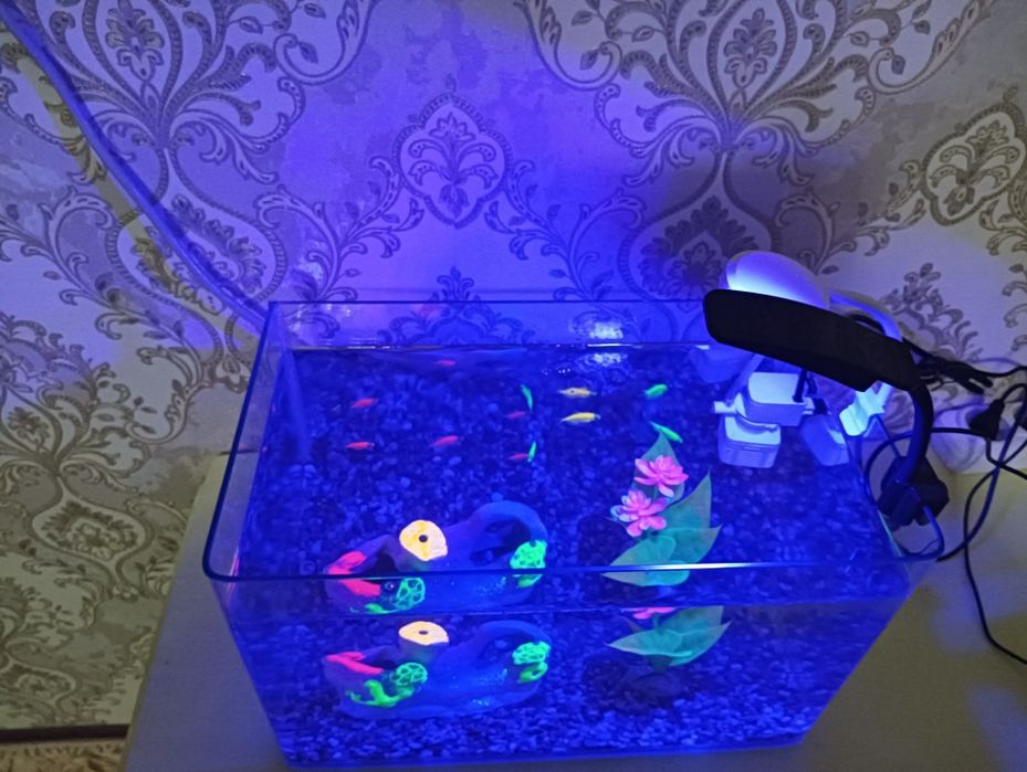 Xitoy quyma akvarium 15 litr komplekti