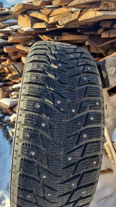 Зимние шины с шипами