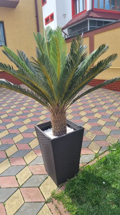 Palmieri artificiali