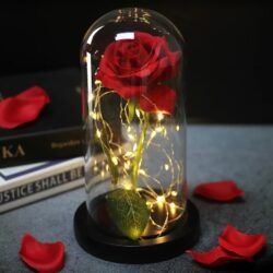 Уникална Роза в Стъкленица с LED Светлина