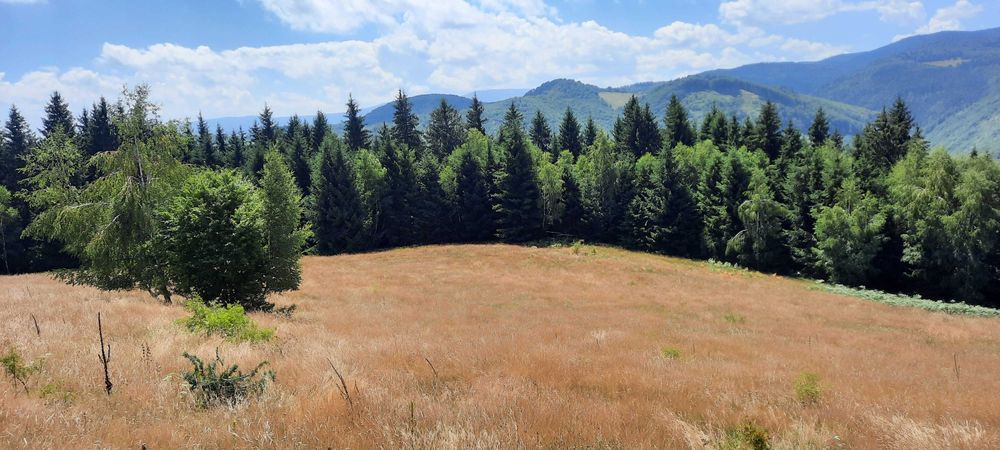 Vand teren, 2ha, la munte Saliste-Crint