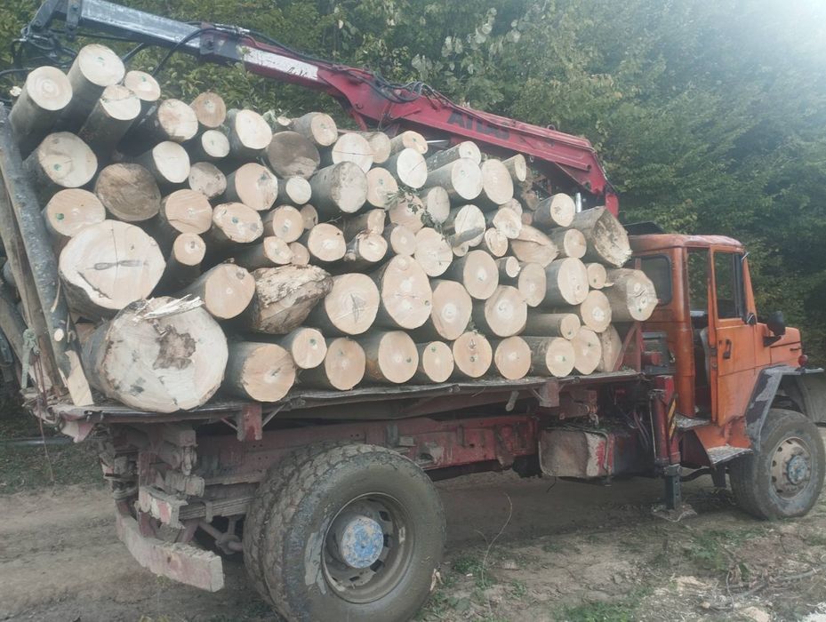 Дърва за огрев дъб,бук,габър и цер