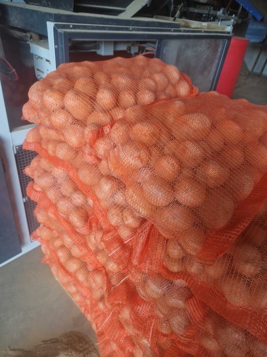 Cartofi de consum  - producator