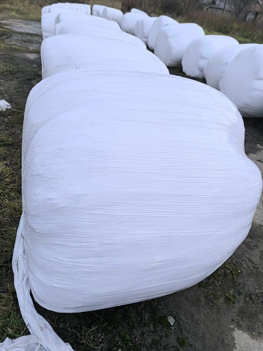 Baloti infoliat lucerna coasa 4