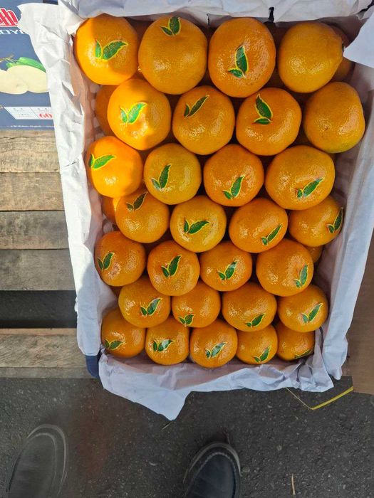 mandarin va sitrus maxsulotlar