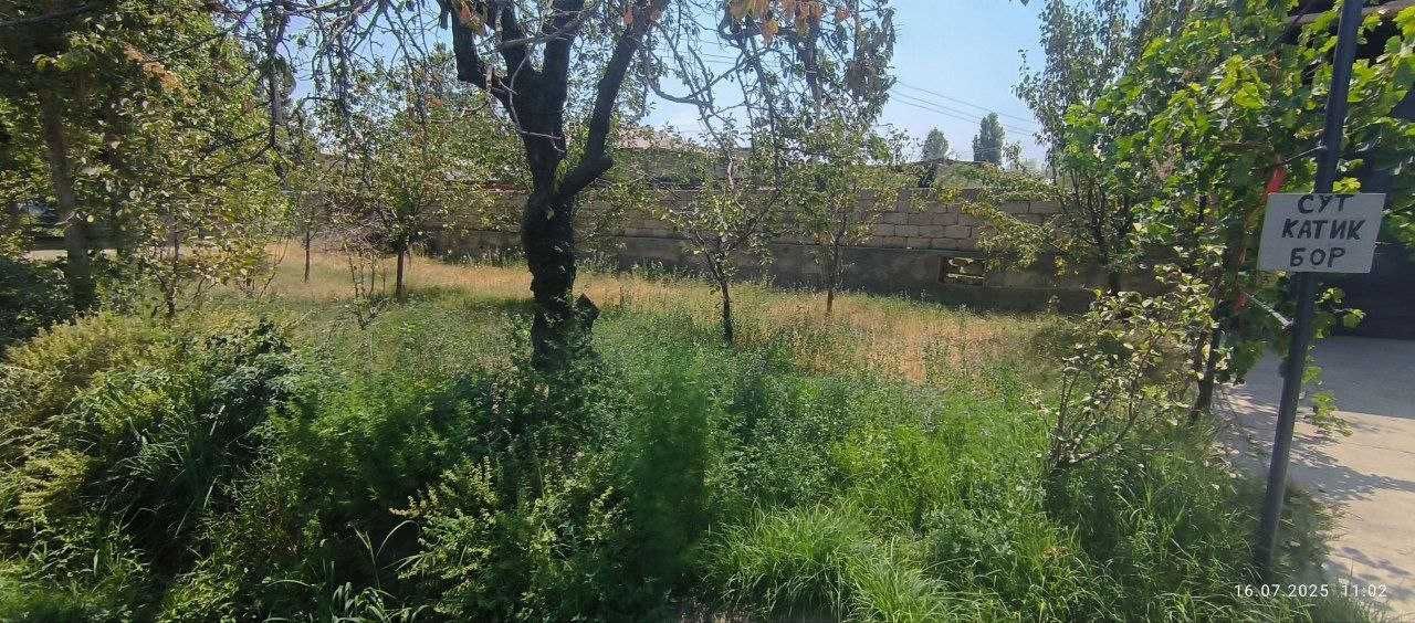 Участок Яшнабат, 8 соток, фасад 20×40 

Yashnabot, 8 sotix yer