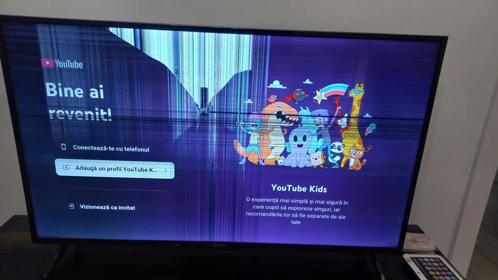 Televizor Panasonic Smart TX49FX600E