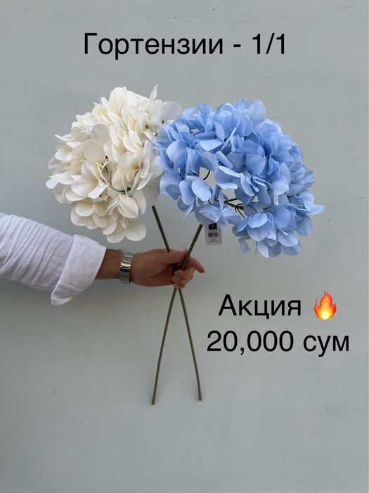 Суний гуллар шохлар оптом