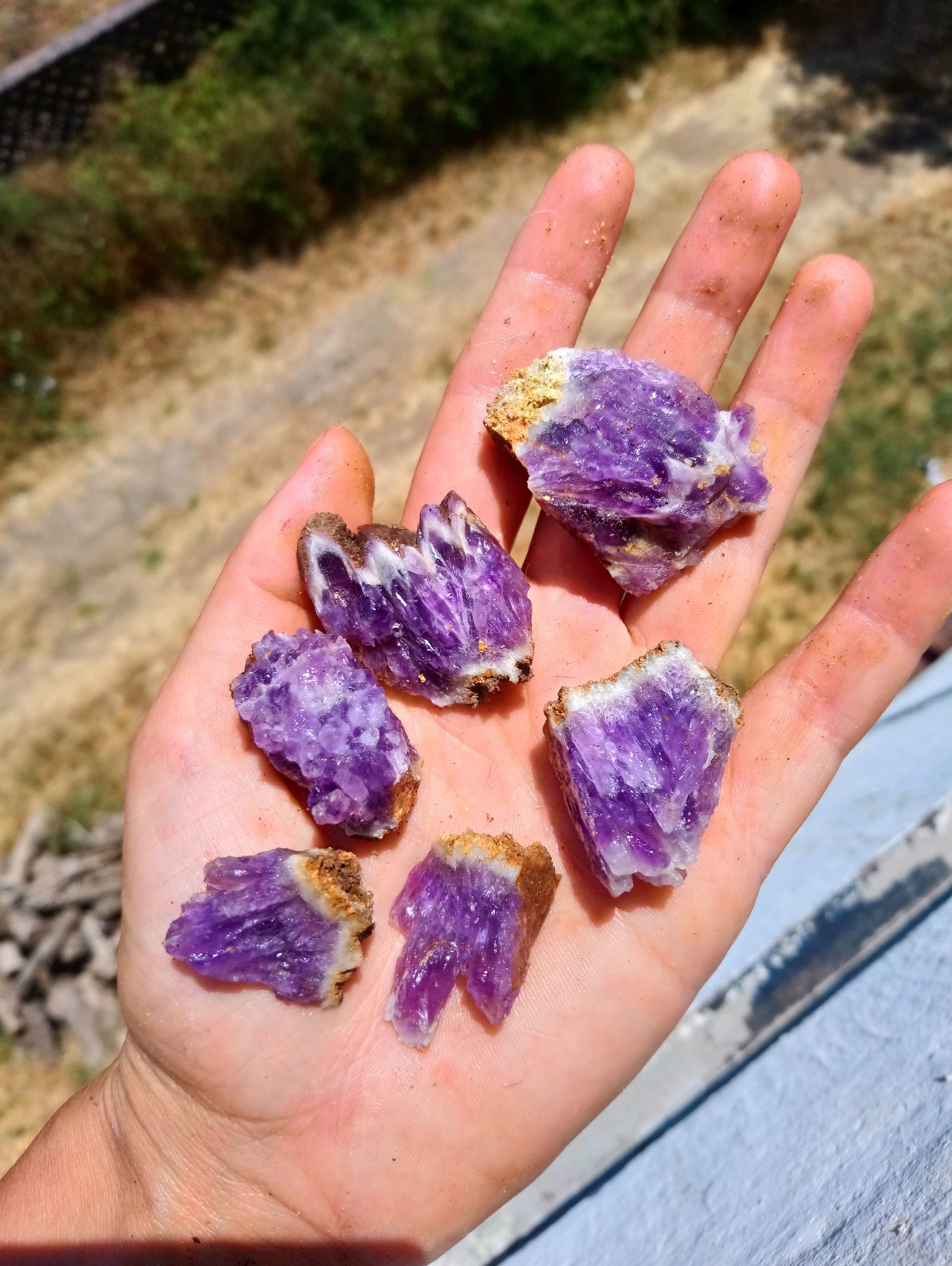 Лот Аметисти от България цената е ОБЩО за всички минерали кварц криста