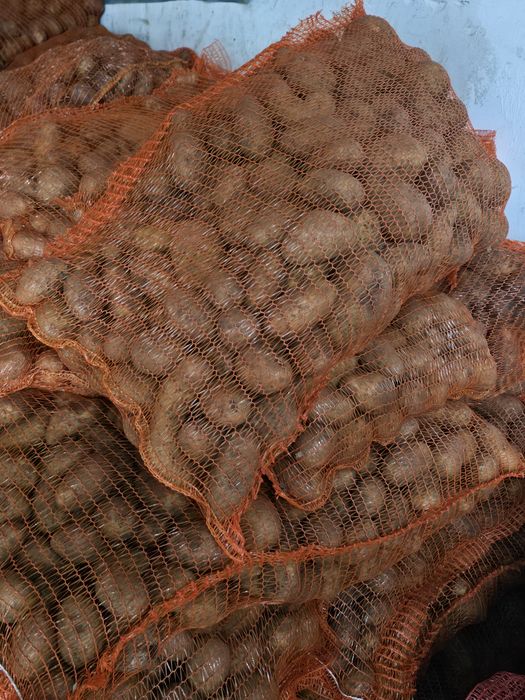 Cartof albi !(ultra)