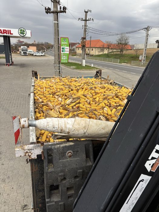 Vand porumb stiuleti