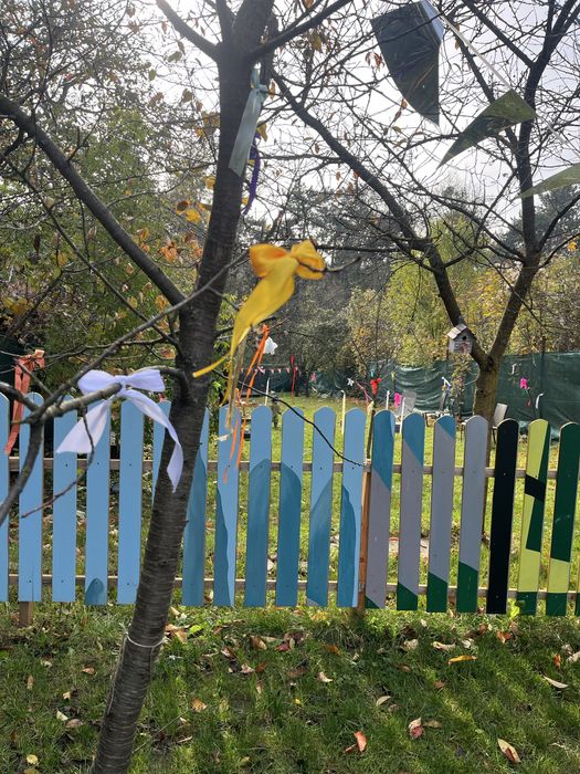 Vand afacere la cheie - centru educational in natura