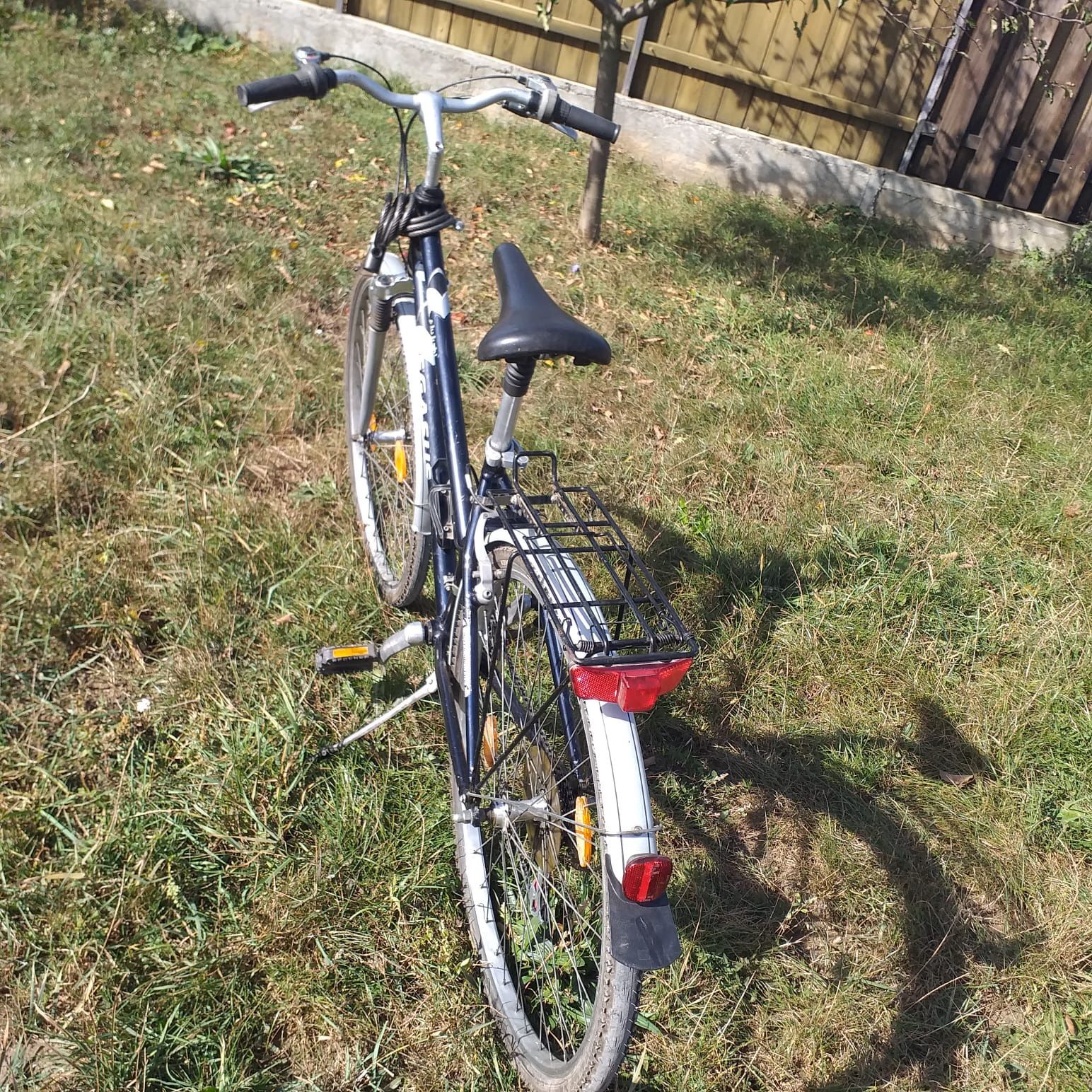 Bicicleta Pegasus