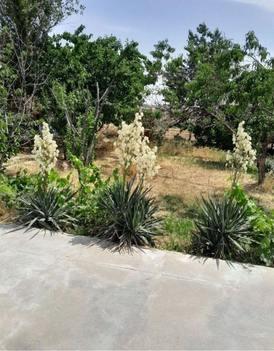 Участок под строительство Тузель