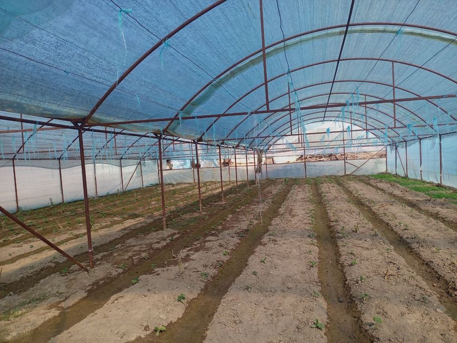 Уй сотилади 17 сотих