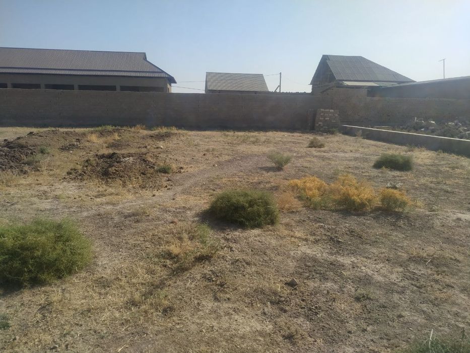 Yangi chaman Otchopar