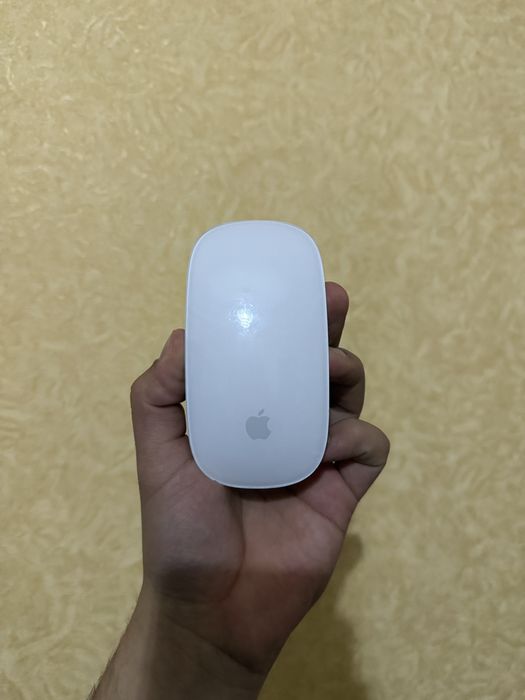 Magic mouse 2.