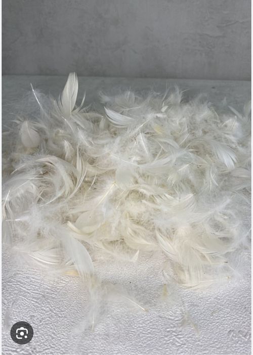 Продам пух без перьев