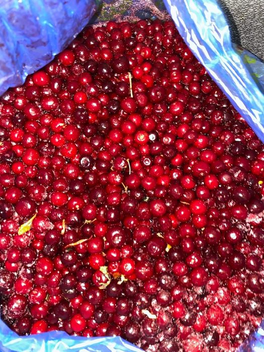 Продам вишня  домашный