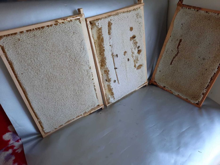 Miere Capaceala si Propolis