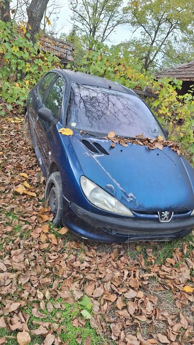 Peugeot 206 An 2001