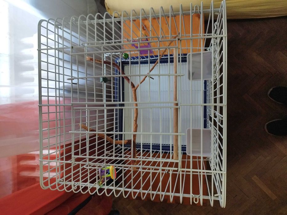 Colivie Micul Alexandru 44cm lungime si latime, 64cm inaltime