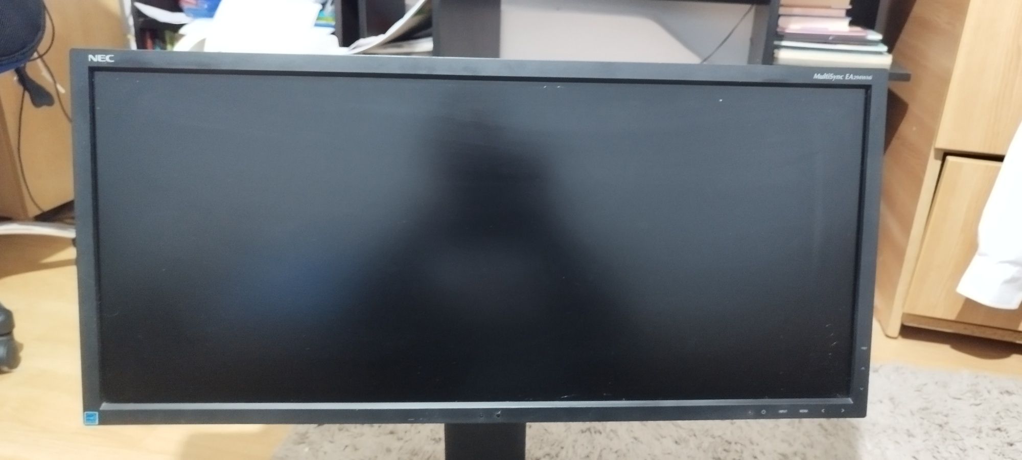 Monitor NEC multisync EA294 wmi