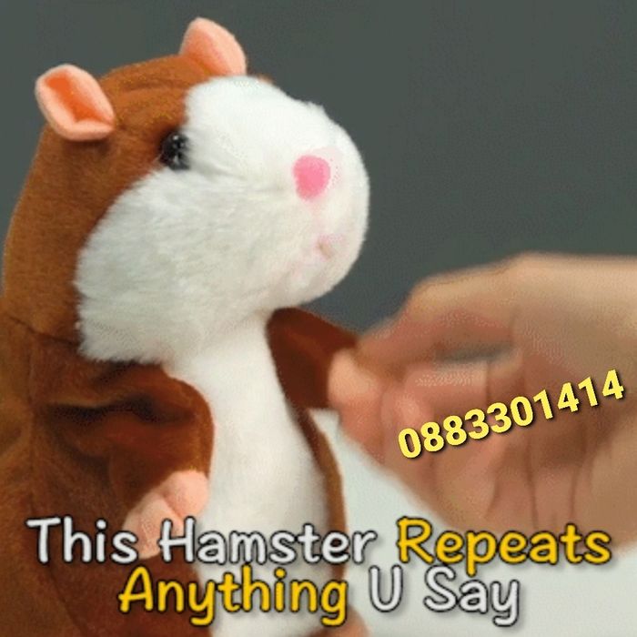 Намаление! Интерактивен говорещ хамстер