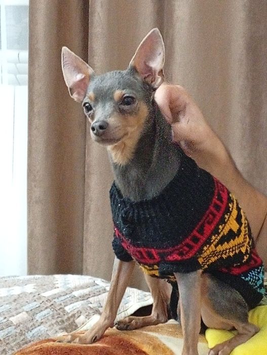 Ищем девочку для кабеля