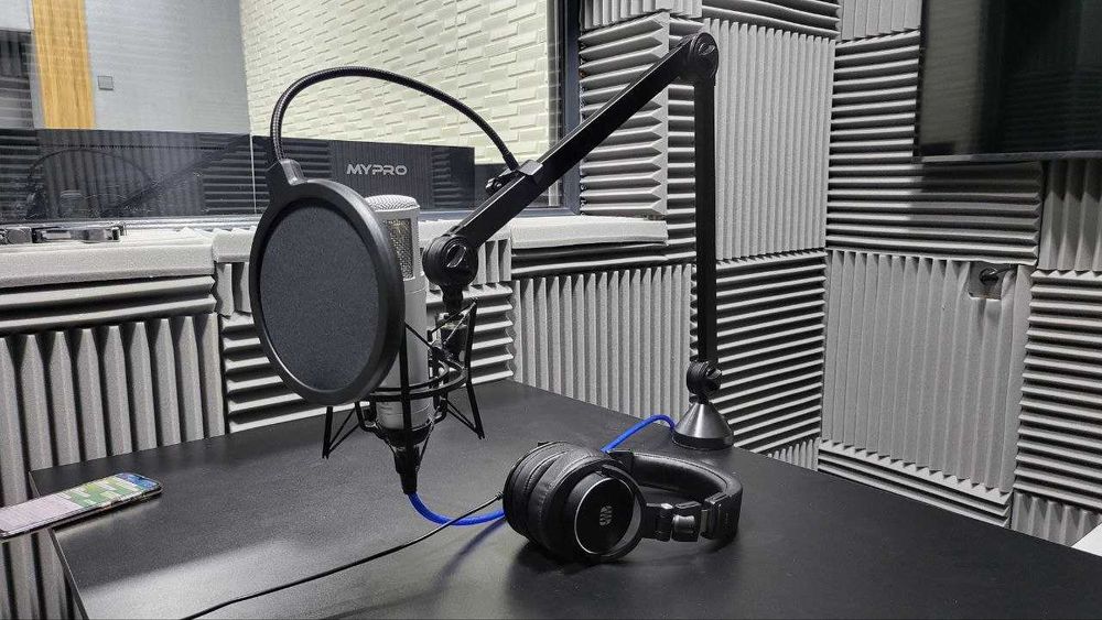 Студия профессионального дубляжа и озвучивания