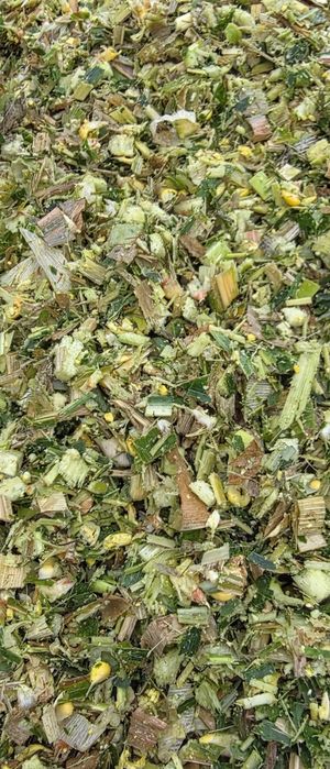 Baloti porumb siloz 2025