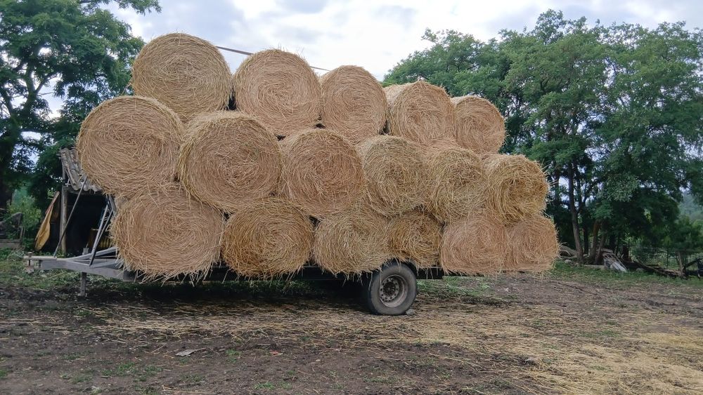 Trailer pentru baloți și presă ama