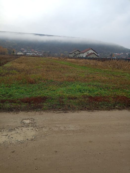Teren Bacău,  Hemeiuș Str. Gradinarilor