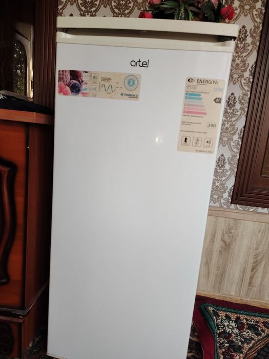 Artel muzlatkich zudlik bilan sotiladi
