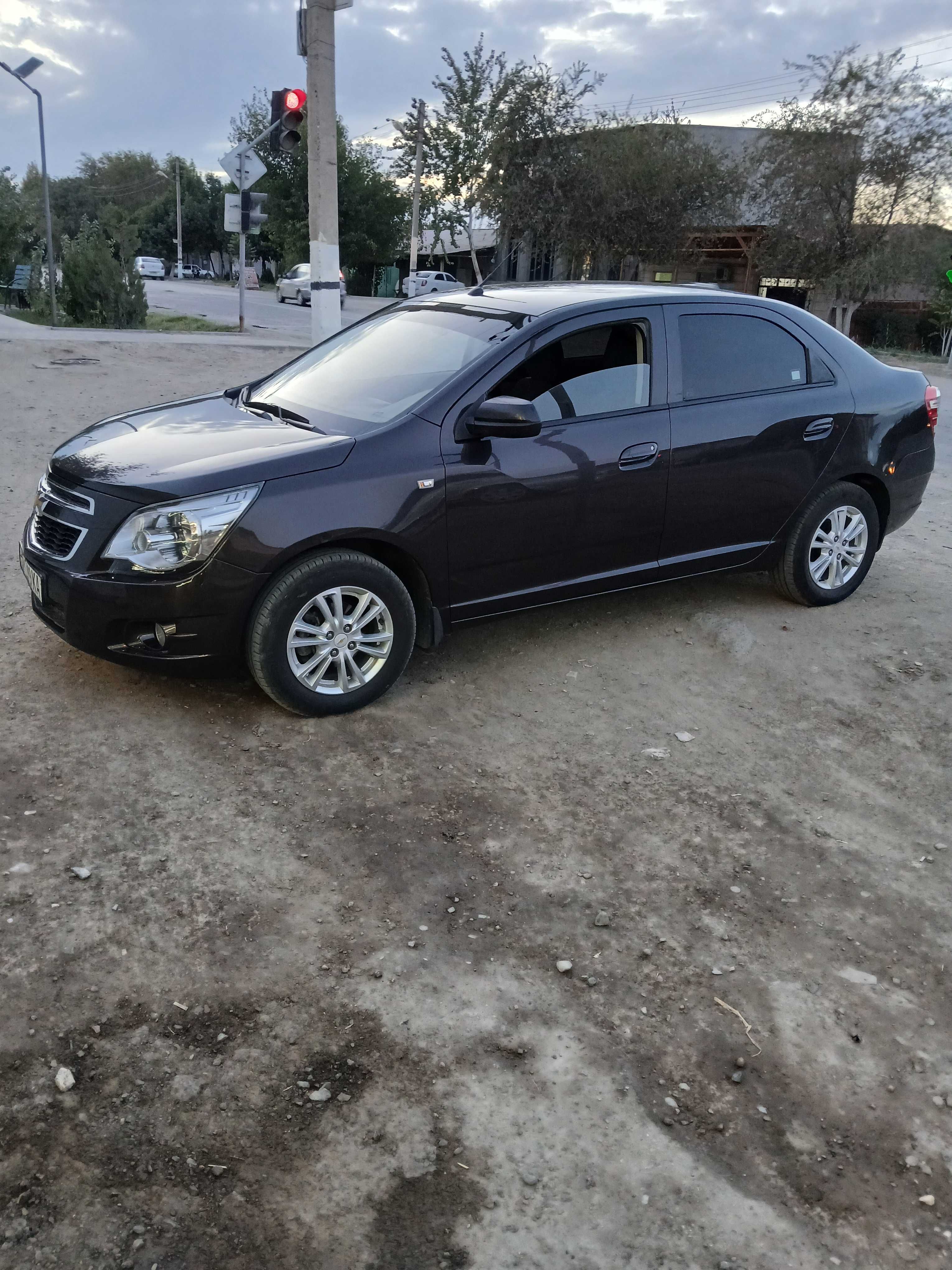 Кобалт автамат чоко цвет