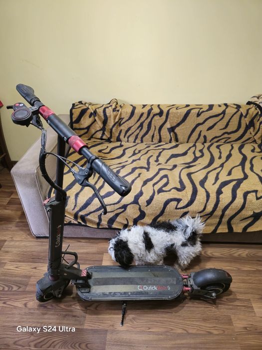 Trotineta electrica Quickvolt 9