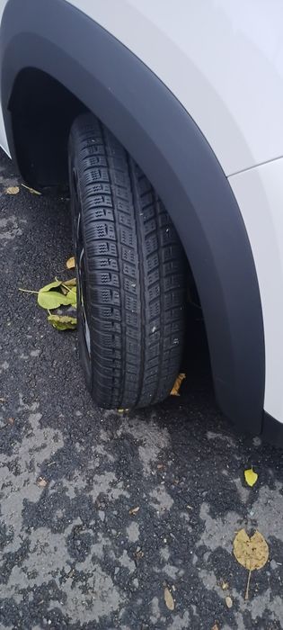 Dacia spring extreme