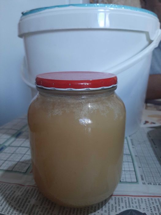 Продава се пчелен мед на кофи по 13 кг.