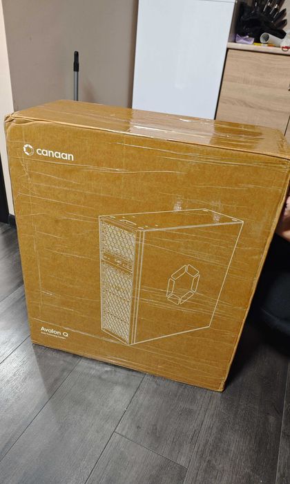 Canaan Avalon Q с гаранция