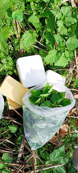 Домашно краве сирене и кашкавал