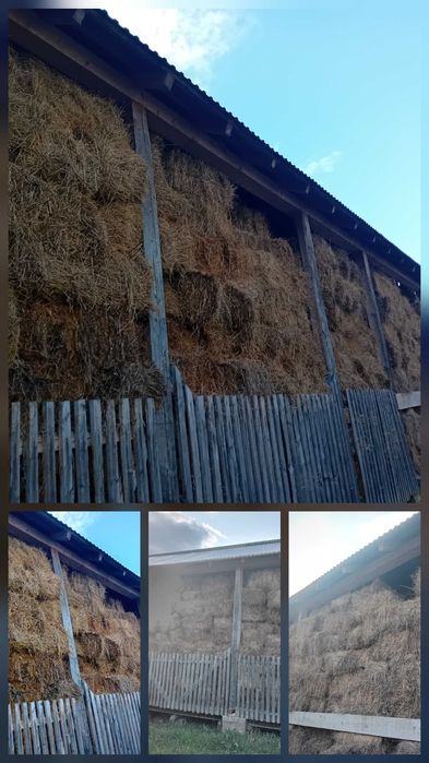 Baloti dreptunghiulari