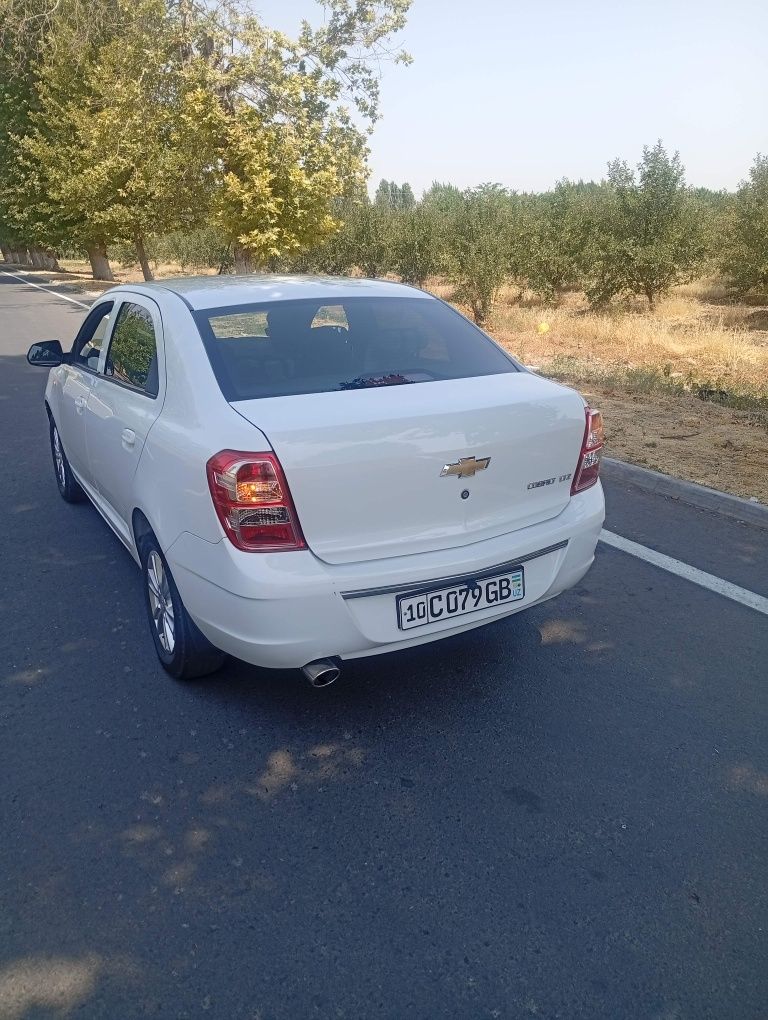 Srowna kobilt sotiladi