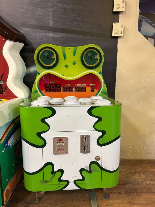 Игра чукчета вид жабки