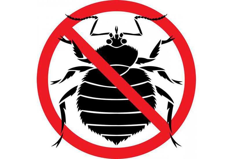 Дезинфекция Уничтожение тараканов клопов клещей муравьев крыс комаров