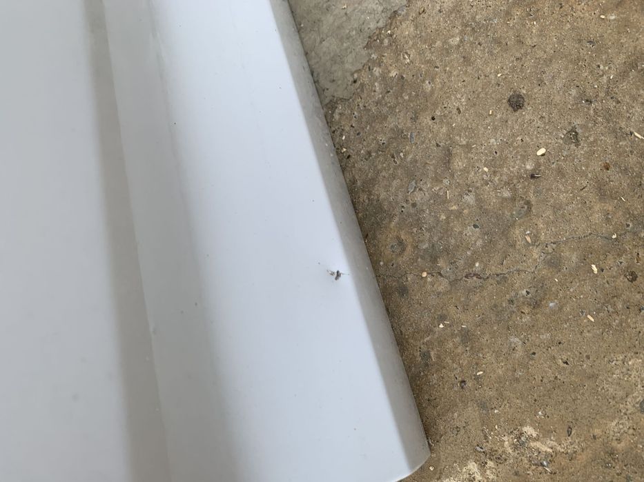 Usa dreapta fata  Audi A6, C8, 2018, 2019, 2020, 2021, 2022, 2023.