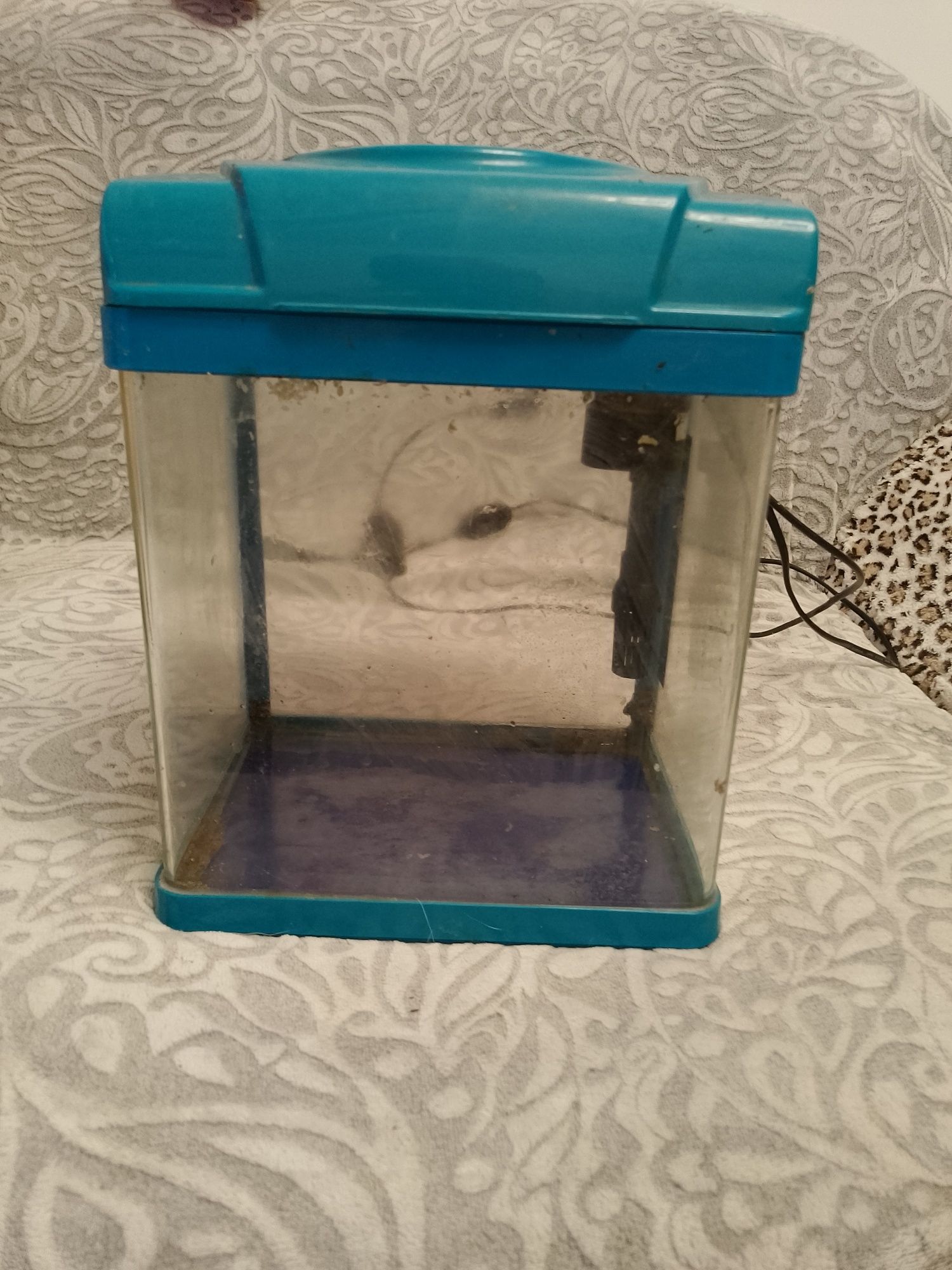 Vând acvariu betta