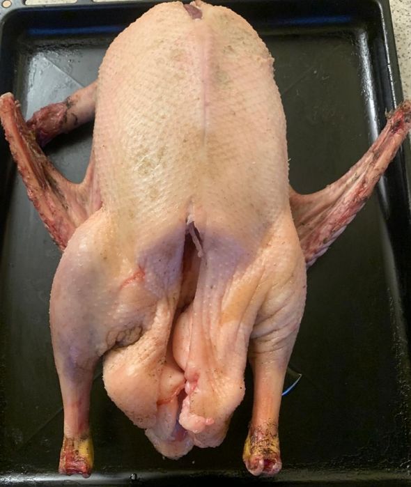 Продам гусей тушки